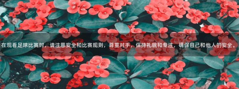  在观看足球比赛时，请注意安全和比赛规则，尊重对手，保持礼貌和