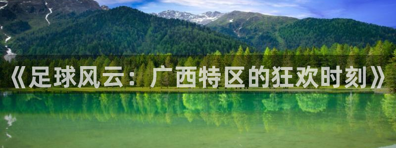 《足球风云：广西特区的狂欢时刻》