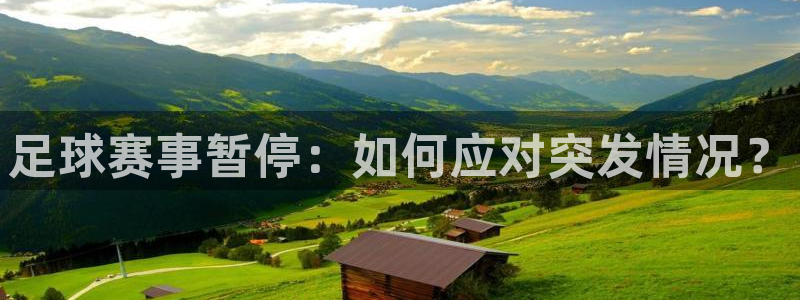 足球赛事暂停：如何应对突发情况？