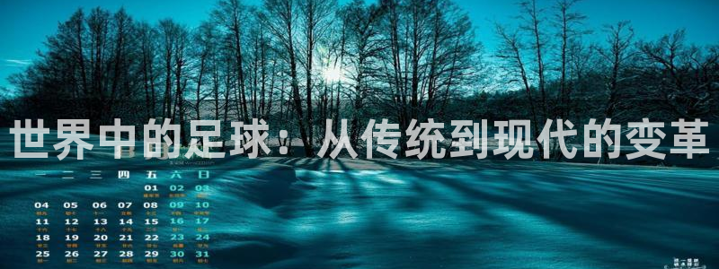 世界中的足球：从传统到现代的变革