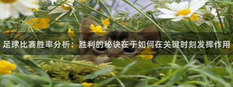 足球比赛胜率分析：胜利的秘诀在于如何在关键时刻发挥作用