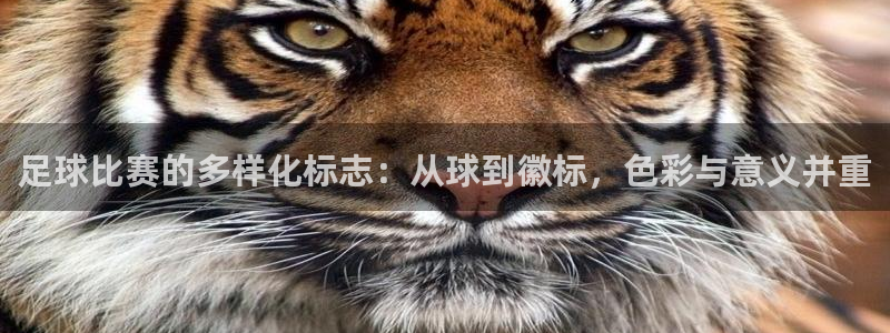 足球比赛的多样化标志：从球到徽标，色彩与意义并重