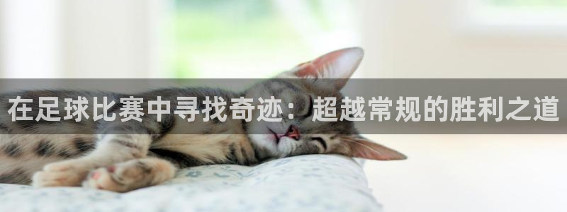 在足球比赛中寻找奇迹：超越常规的胜利之道