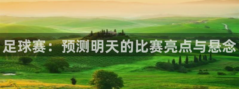  足球赛：预测明天的比赛亮点与悬念
