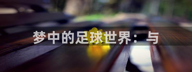 梦中的足球世界：与
