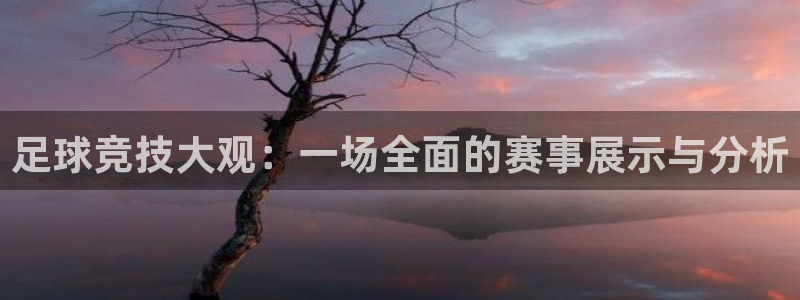 足球竞技大观：一场全面的赛事展示与分析