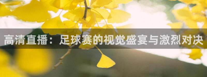  高清直播：足球赛的视觉盛宴与激烈对决