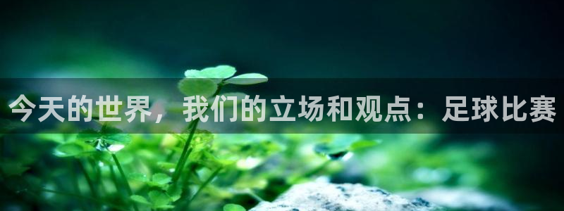  今天的世界，我们的立场和观点：足球比赛