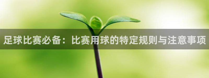 足球比赛必备：比赛用球的特定规则与注意事项