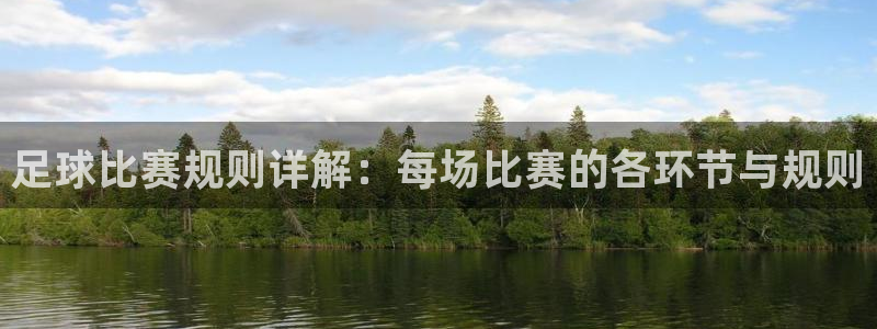  足球比赛规则详解：每场比赛的各环节与规则