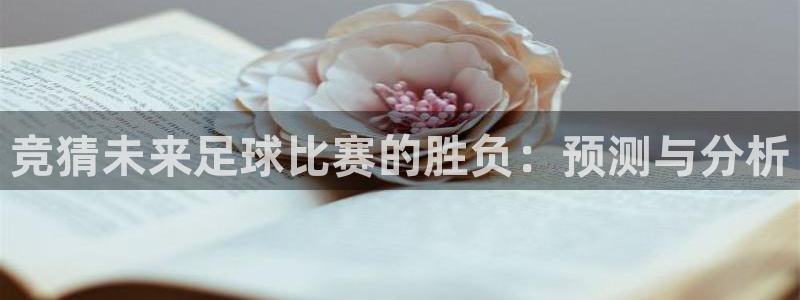 竞猜未来足球比赛的胜负：预测与分析