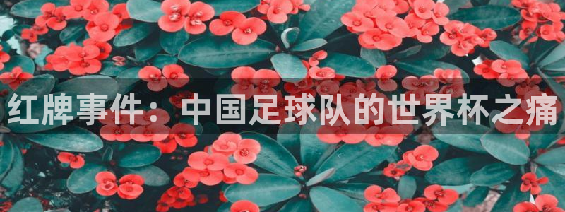 红牌事件：中国足球队的世界杯之痛