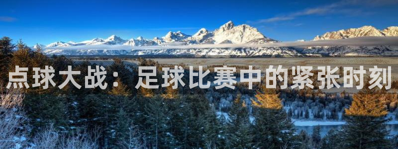 点球大战：足球比赛中的紧张时刻