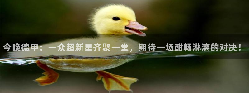 今晚德甲：一众超新星齐聚一堂，期待一