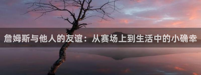 詹姆斯与他人的友谊：从赛场上到生活中