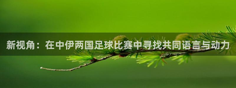 新视角：在中伊两国足球比赛中寻找共同