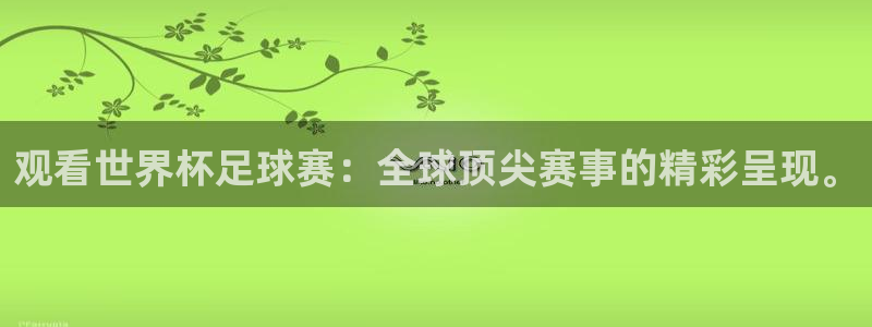 观看世界杯足球赛：全球顶尖赛事的精彩